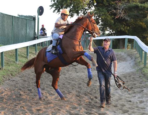 kentucky derby 2017 odds|Trainer Baffert seeks 10th win in Haskell Stakes with Taiba.